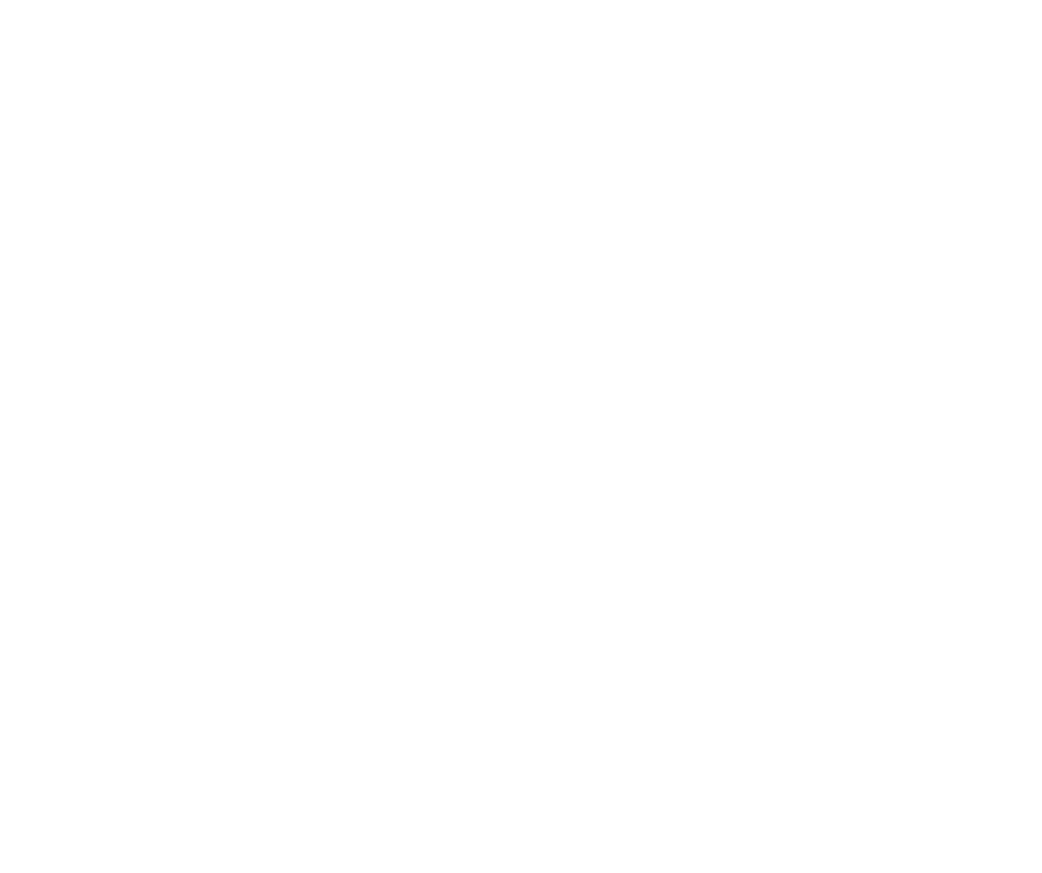 HuntingtonWellsHandymanLogoWhite